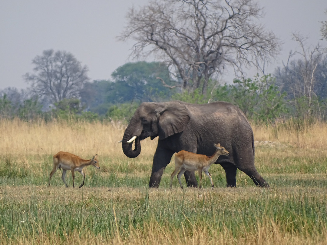 Spoor Tracker Adventures-null必去景点