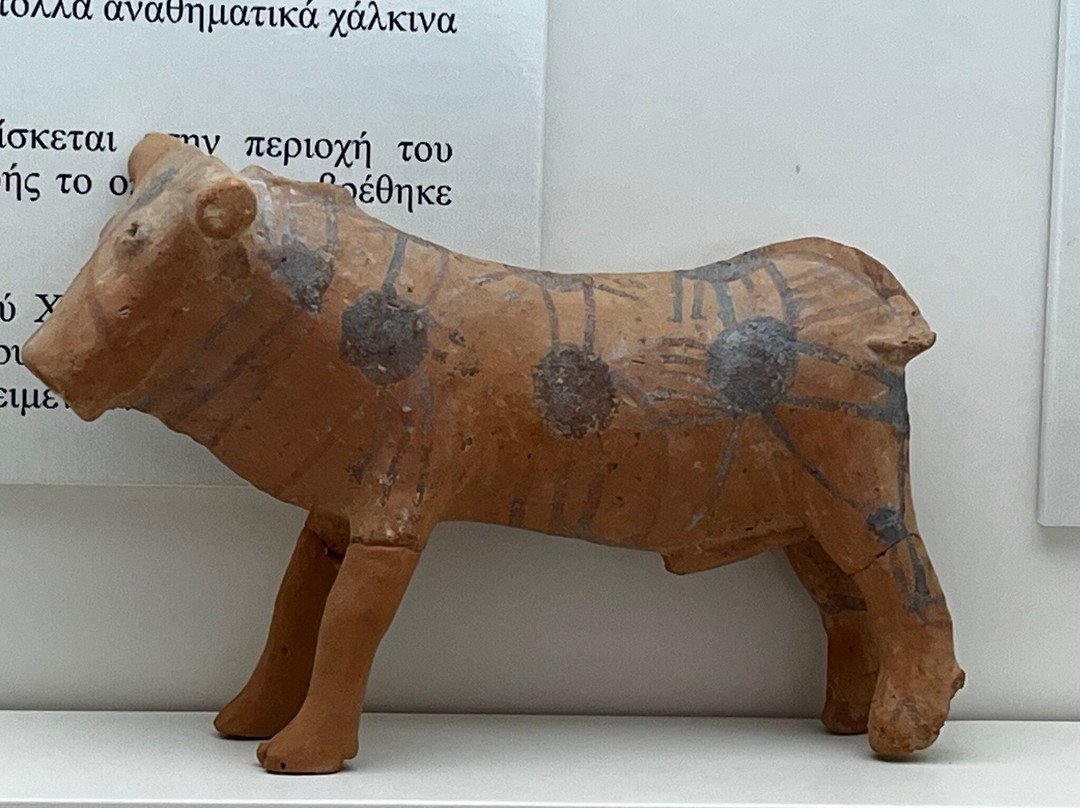 Archaeological Museum of Sitia-Sitia必去景点