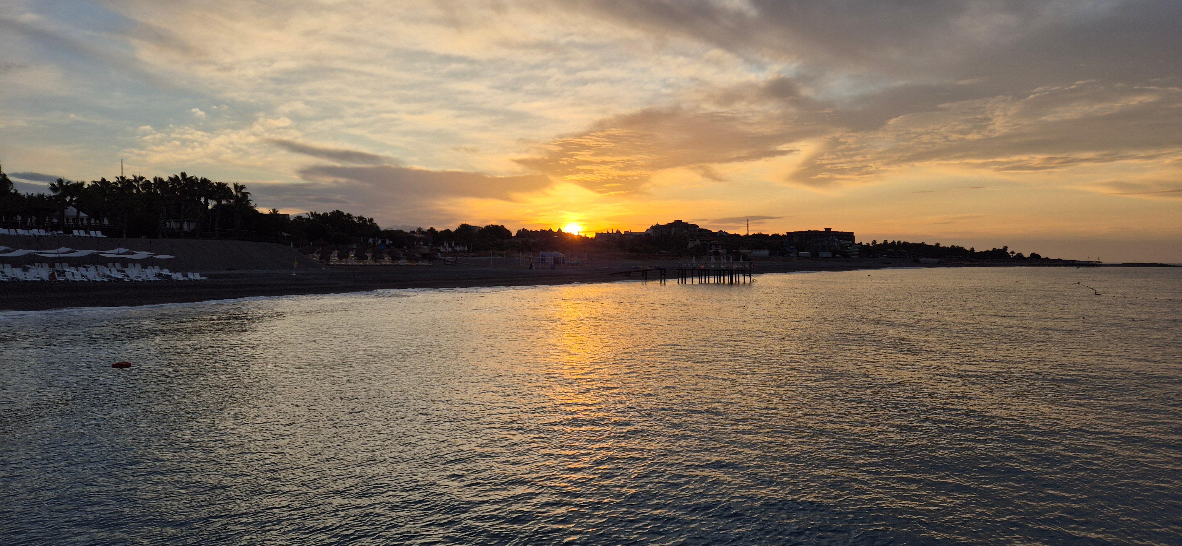 Delphin Botanik-官方