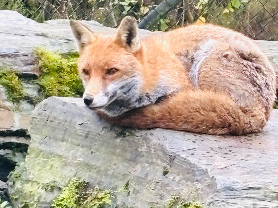 Wild Ireland-Burnfoot必去景点