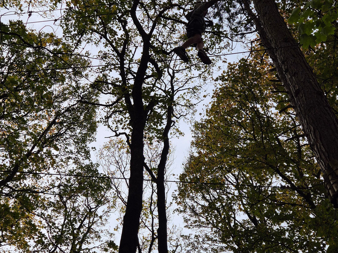 Raven Tree Top Adventure-斯基普顿必去景点