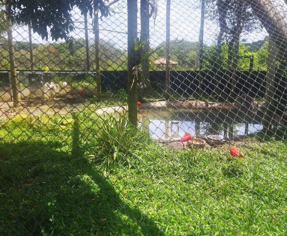 Zoológico Municipal de Curitiba-库里提巴必去景点