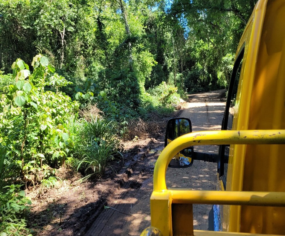 Iguazu Jungle-伊瓜苏港必去景点