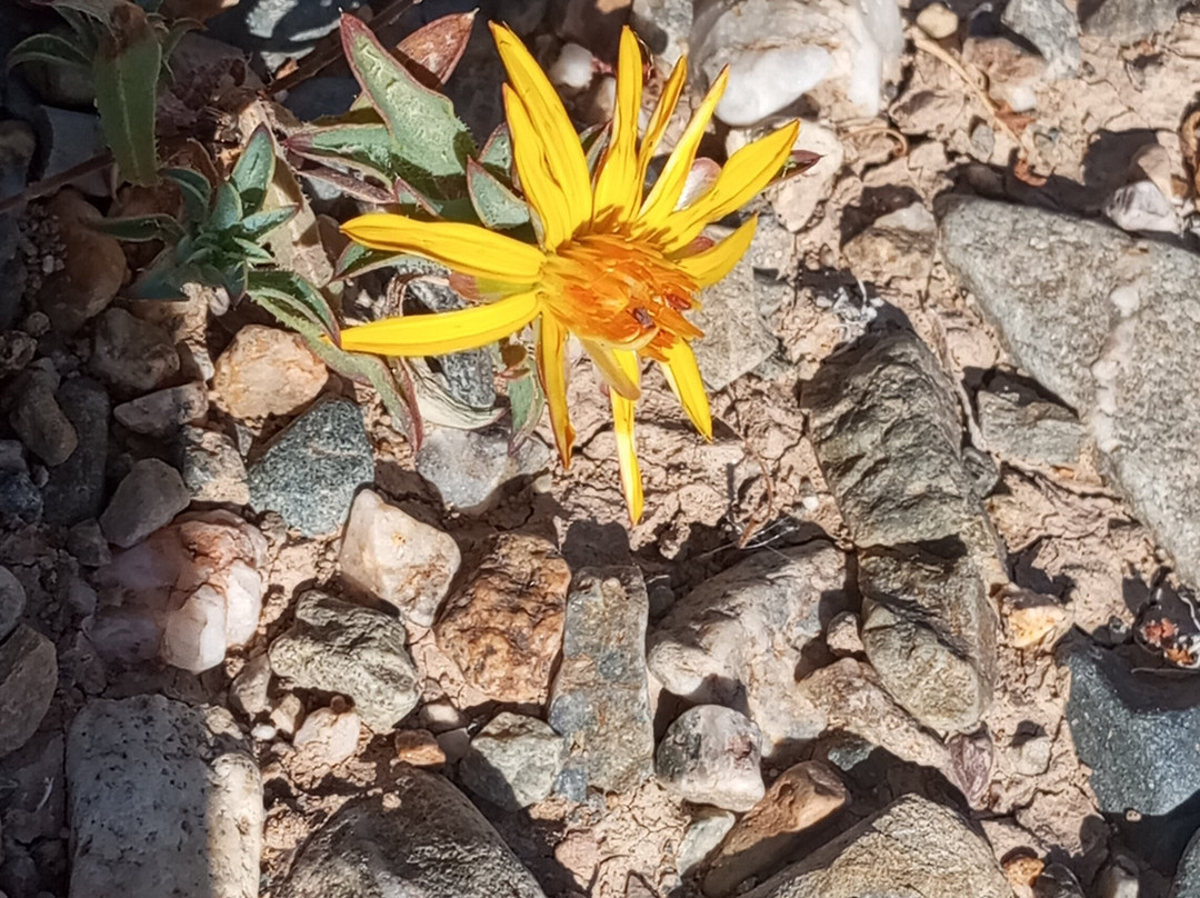 Ecoturismo La Serena-拉塞雷纳必去景点