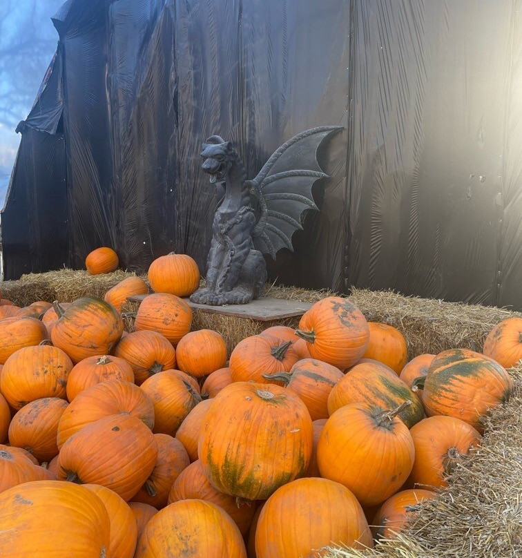 Lincoln Gardens-Lumsden必去景点