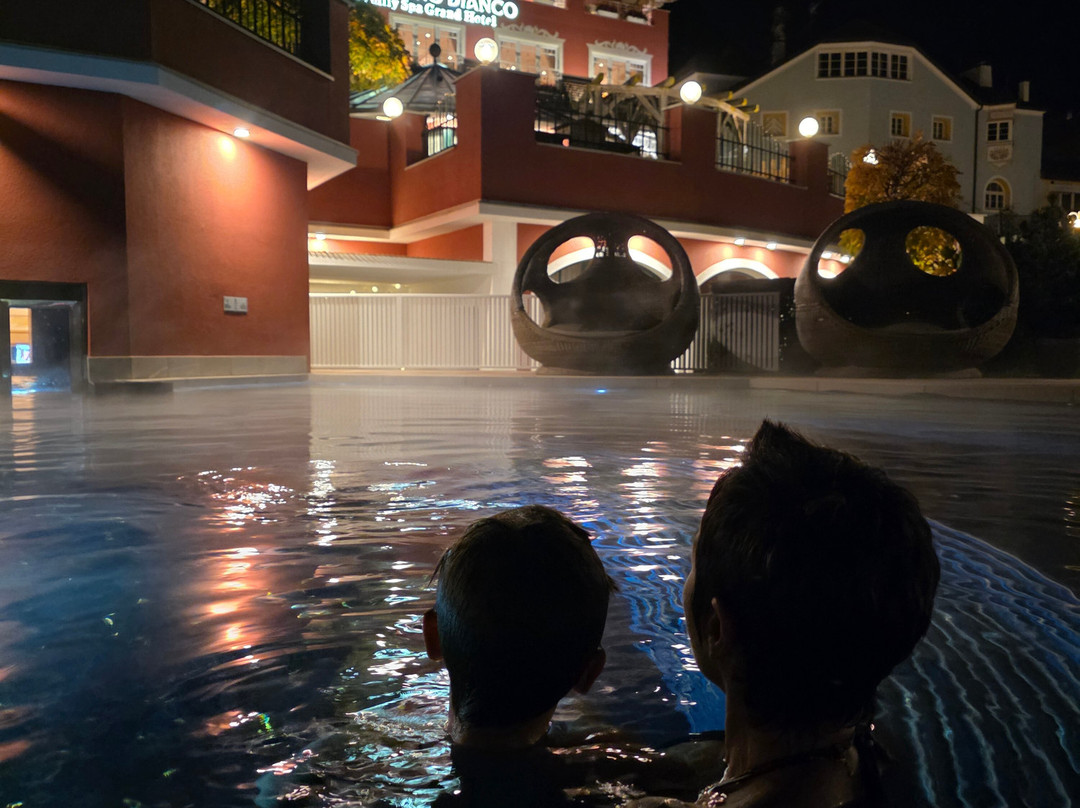 卡瓦利诺比安科家庭温泉大饭店主图