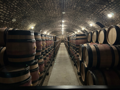 Safari Tours-博讷必去景点