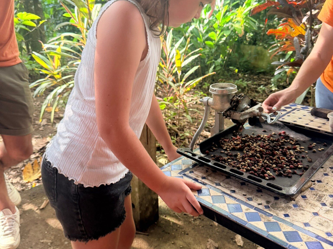 Kaz À Vanille-La Trinite必去景点