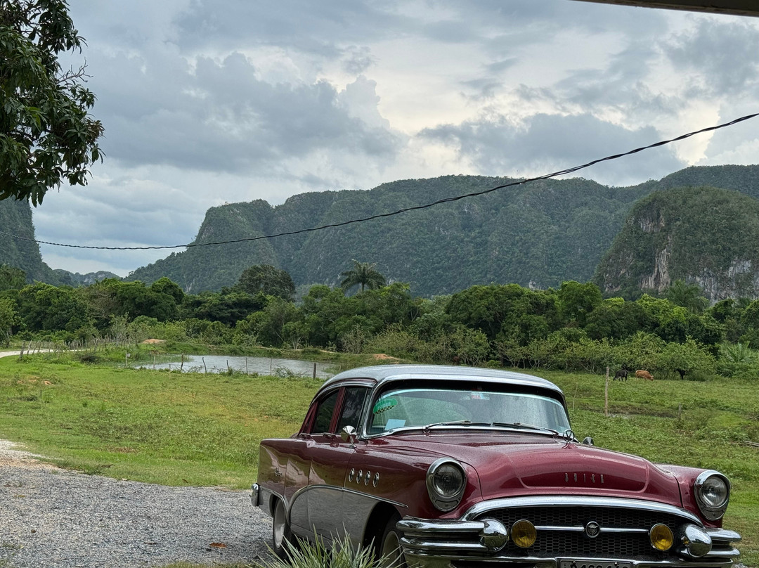 Authentic Tour Delivery-null必去景点