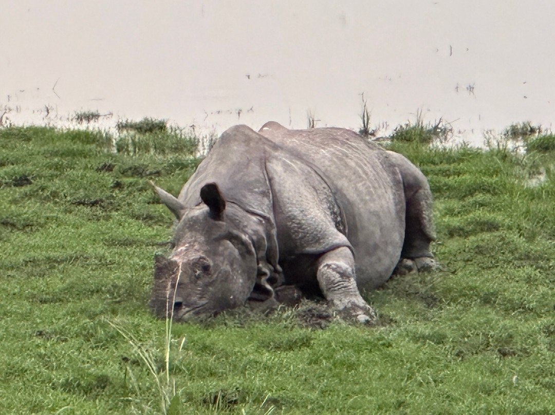 Assam Bengal Navigation-古瓦哈提必去景点