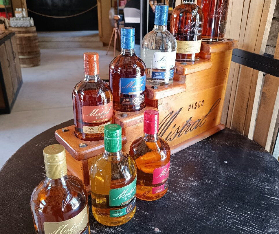 Destileria Pisco Mistral-Pisco Elqui必去景点