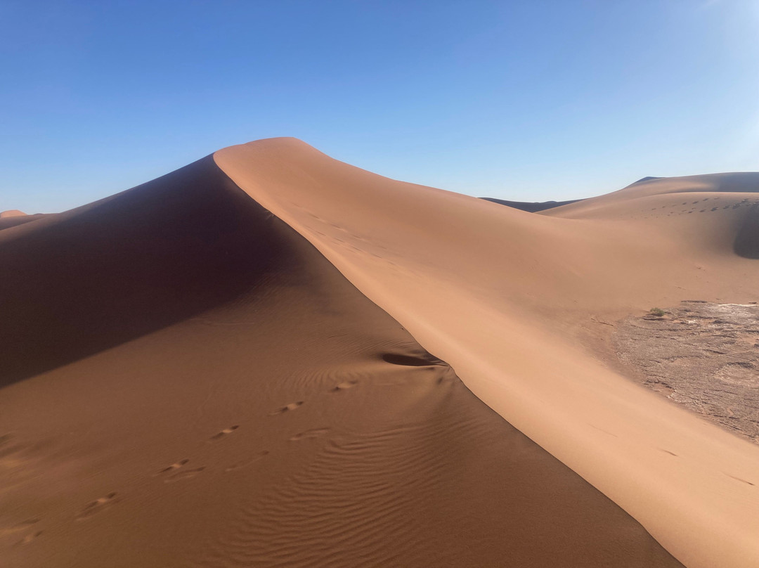 Wild Morocco-扎古拉必去景点