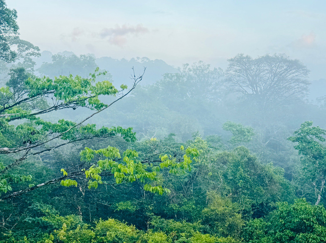 Camp Canopée-Kourou必去景点