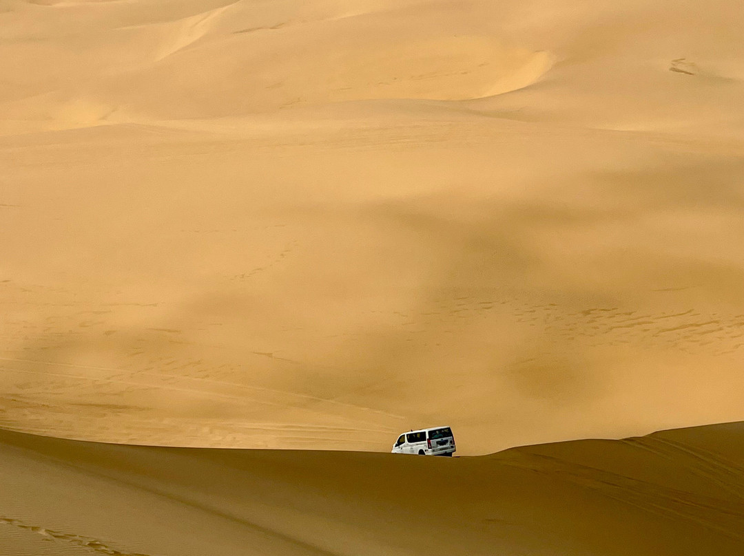 Chameleon Safaris-温德和克必去景点