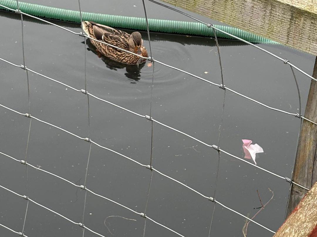 Gulliver's Valley Theme Park-谢菲尔德必去景点