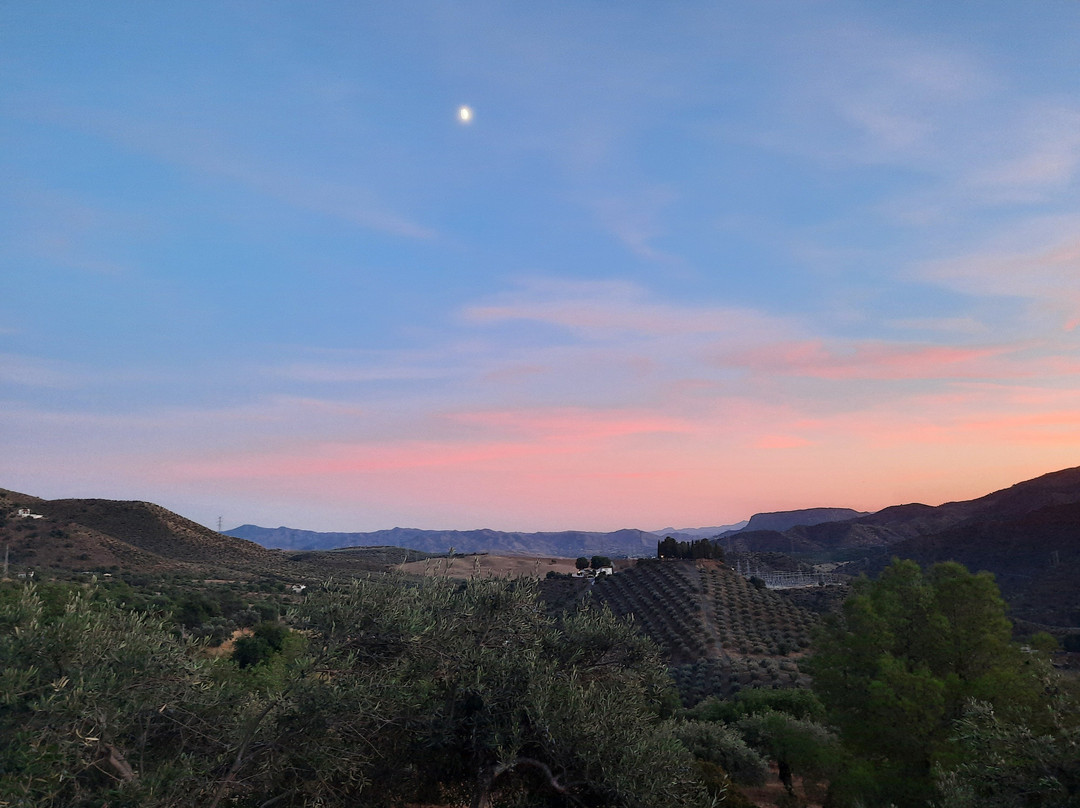 The Olive Branch El Chorro主图