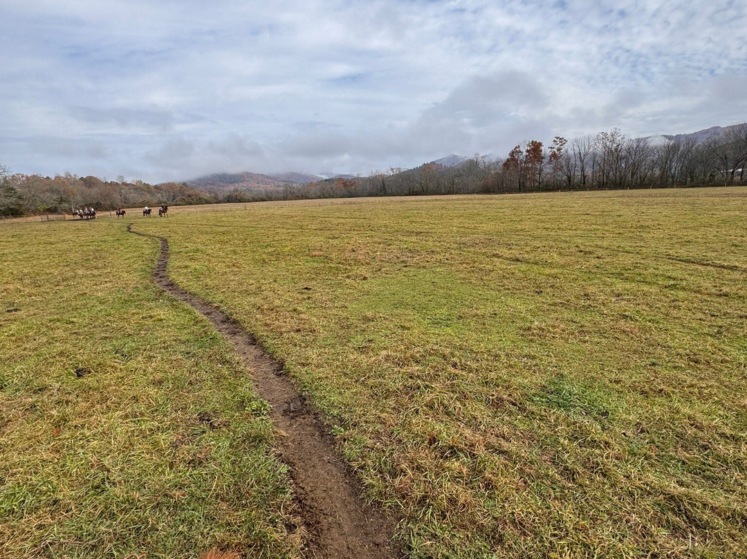 Dillard House Stables-Dillard必去景点