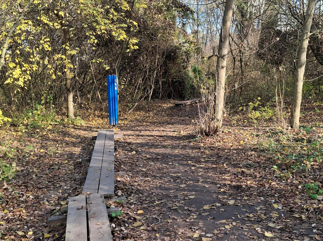 Teknős Tanösvény Dunakeszi-Dunakeszi必去景点