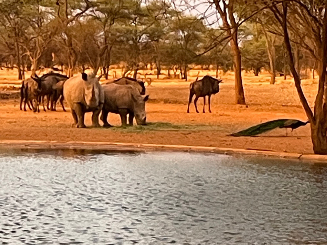 MilleMonti-布雷西亚必去景点