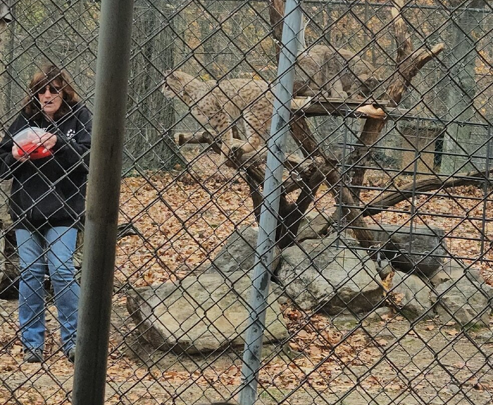 Lakota Wolf Preserve-Columbia必去景点