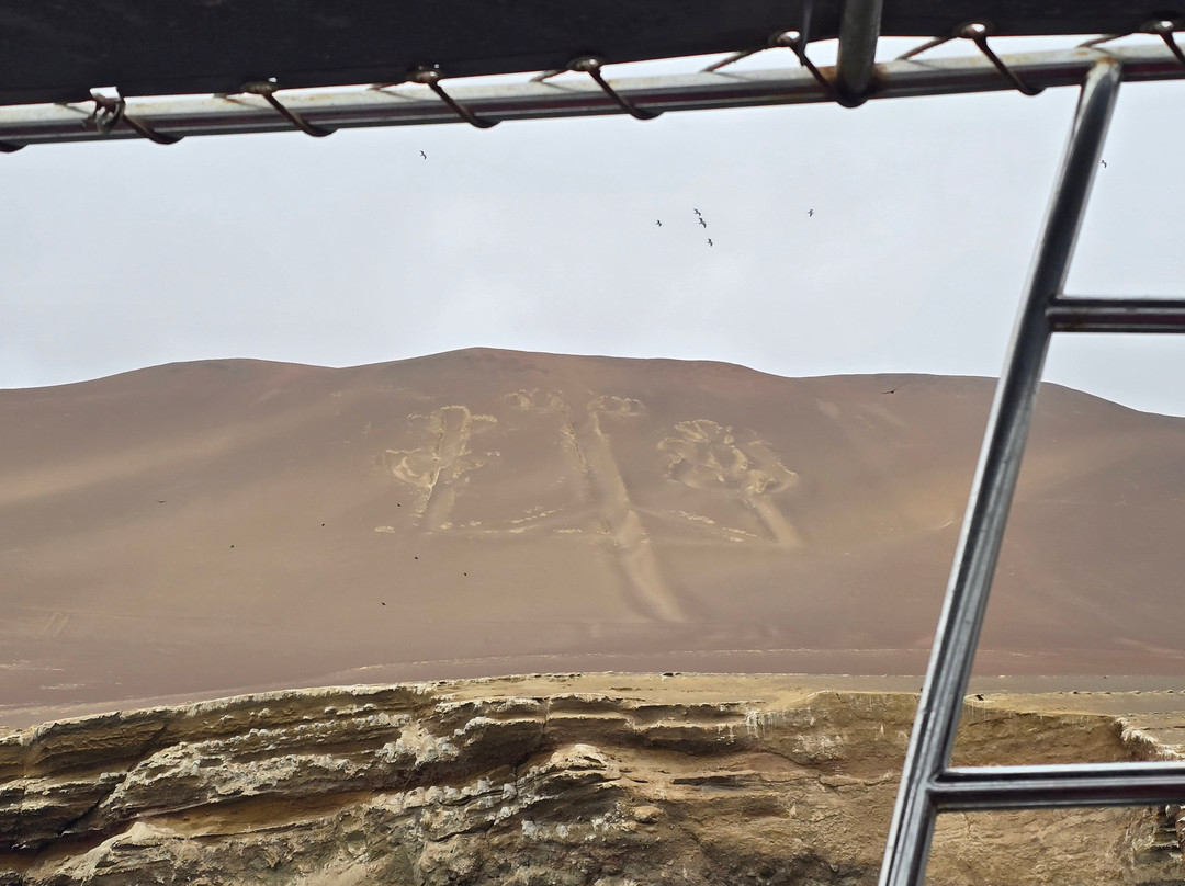 Aliza Tours-Huacachina必去景点