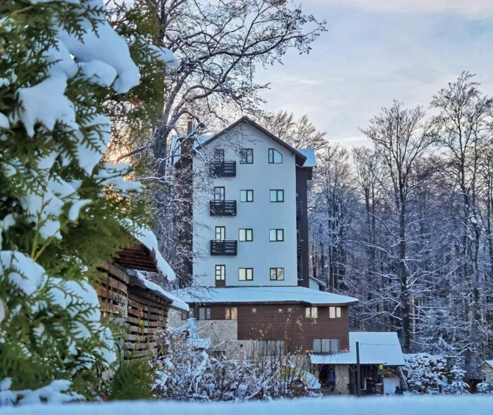 Pensiunea Dor de Munte主图