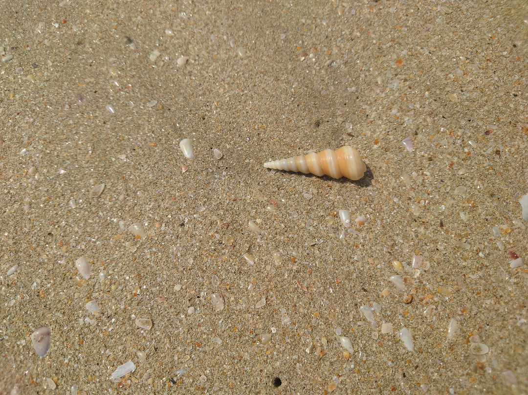 Caranzalem Beach-巴拿吉必去景点