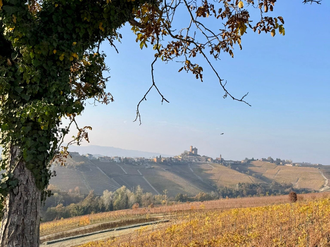 Tenuta Bricchi主图