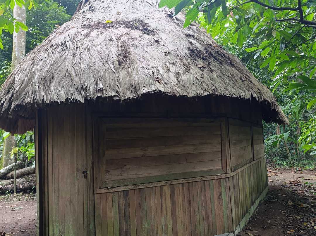Abel Bustamante - Tour Guide-Manzanillo必去景点