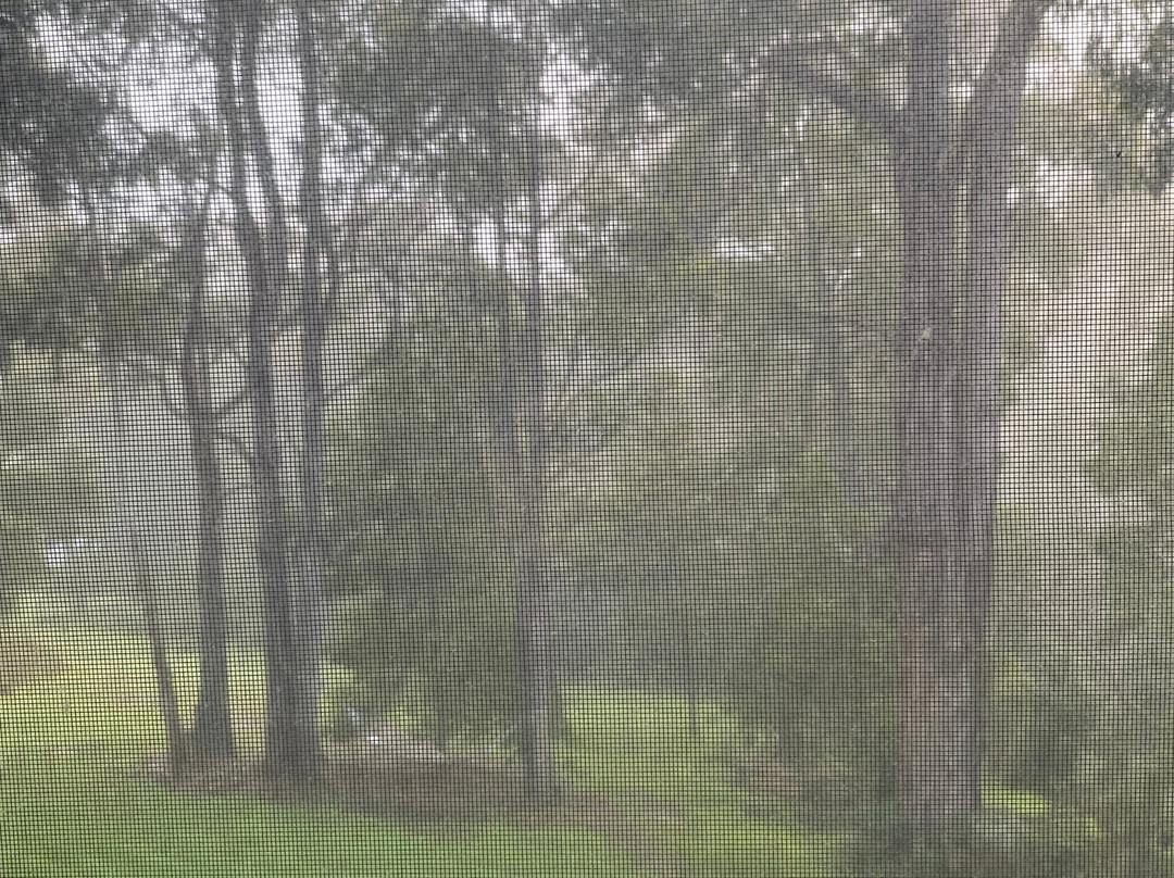 Otway Adventure Motorcycles-Pennyroyal必去景点