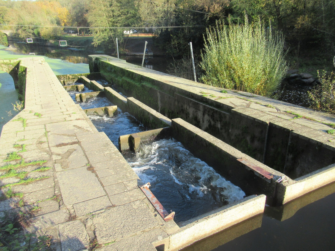 Pont Caffino-Chateau-Thebaud必去景点