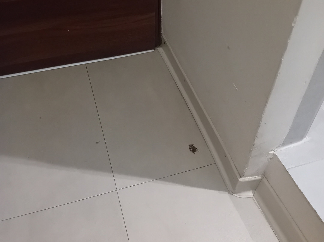 The Convo Athens Riviera主图