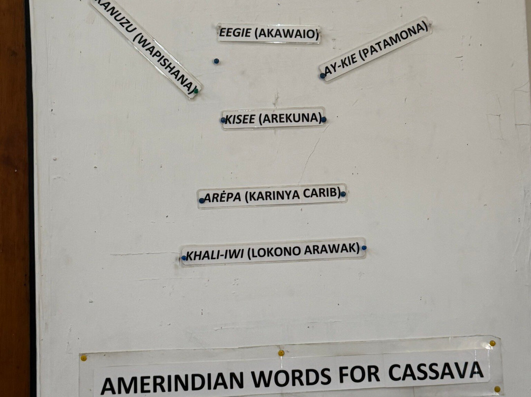 Walter Roth Museum of Anthropology-乔治城必去景点