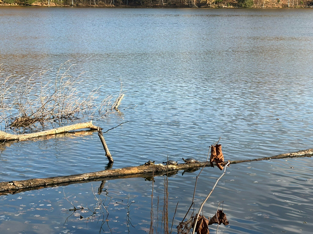 Radnor Lake State Park-纳什维尔必去景点