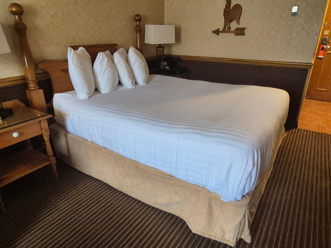 斐赛迪贝斯特韦斯特酒店主图