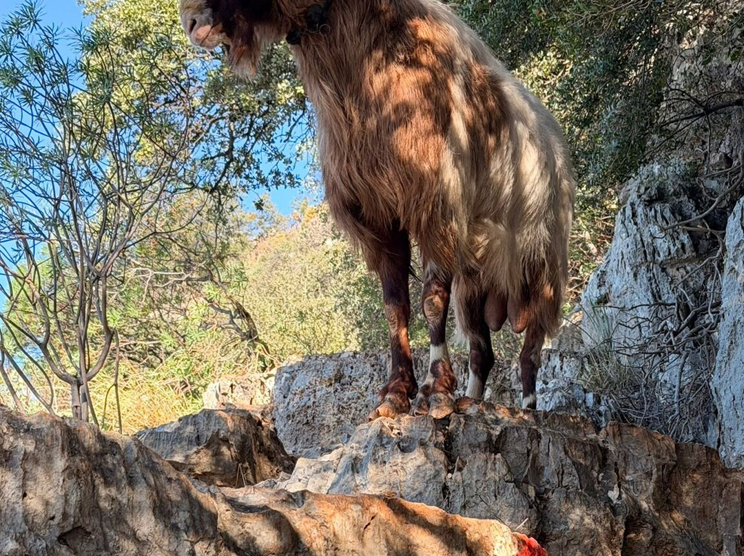 Lycian Way Turkey by Tatil Sihirbazı Travel-Ovacik必去景点