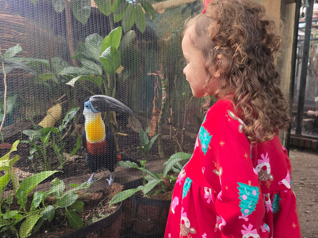 The Living Rainforest-纽伯里必去景点