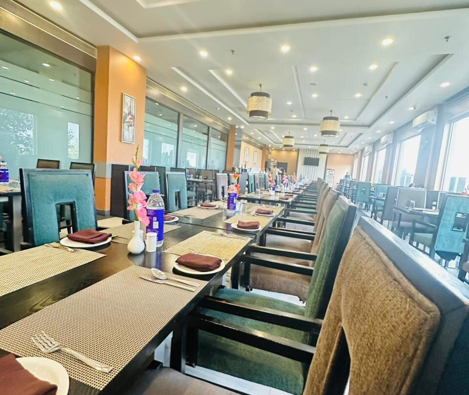 The Radiant Swan主图