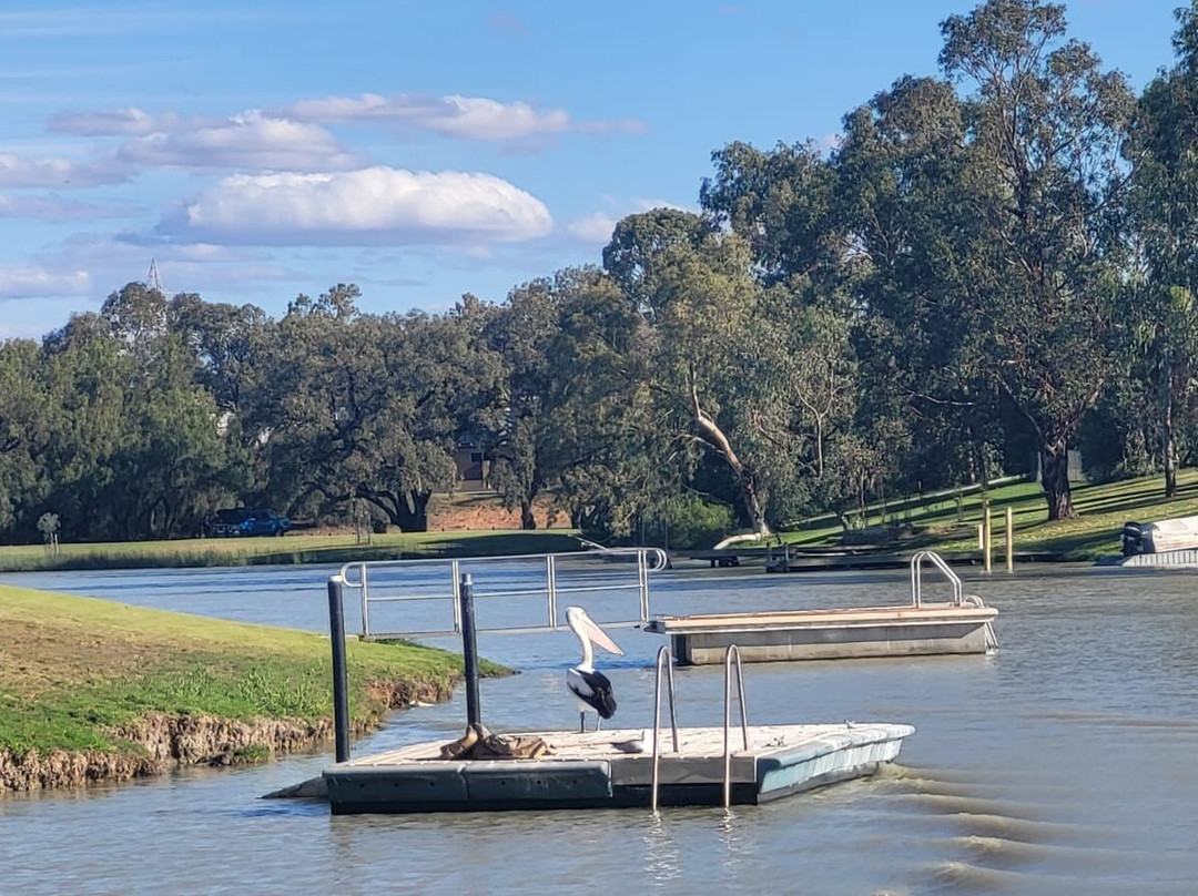 Renmark River Cruises-Renmark必去景点