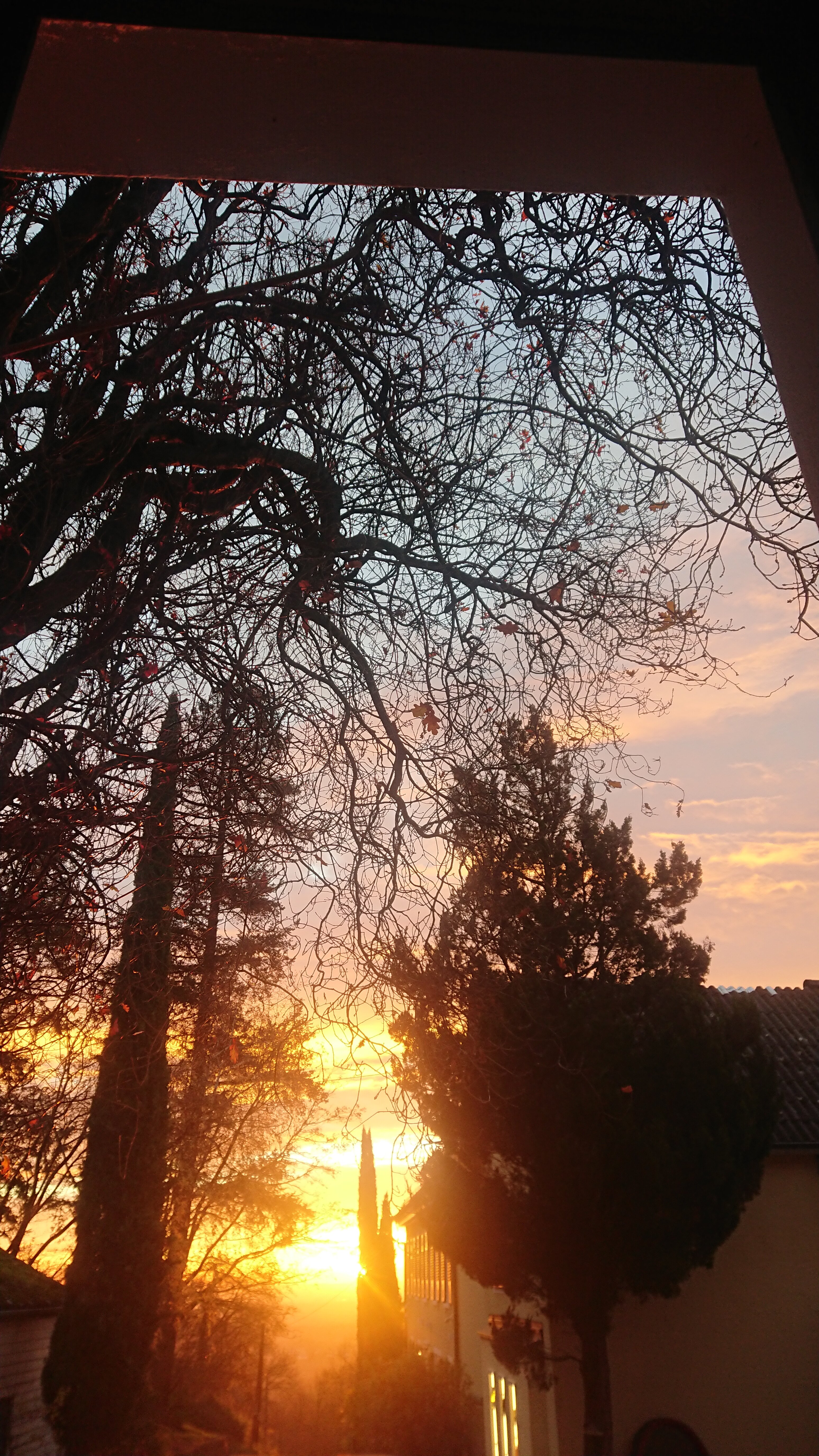 Sankt Annagut-酒店景观