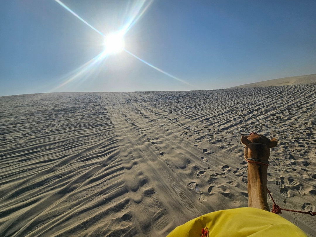 Falcon Tours-多哈必去景点