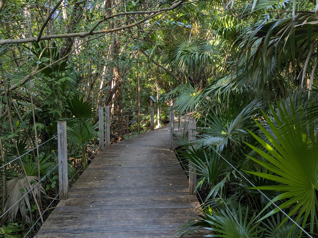 Crane Point Museum & Nature Center-马拉松必去景点
