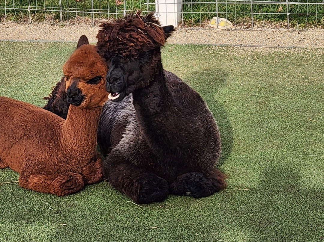 Eagle Eye Farm-River Falls必去景点