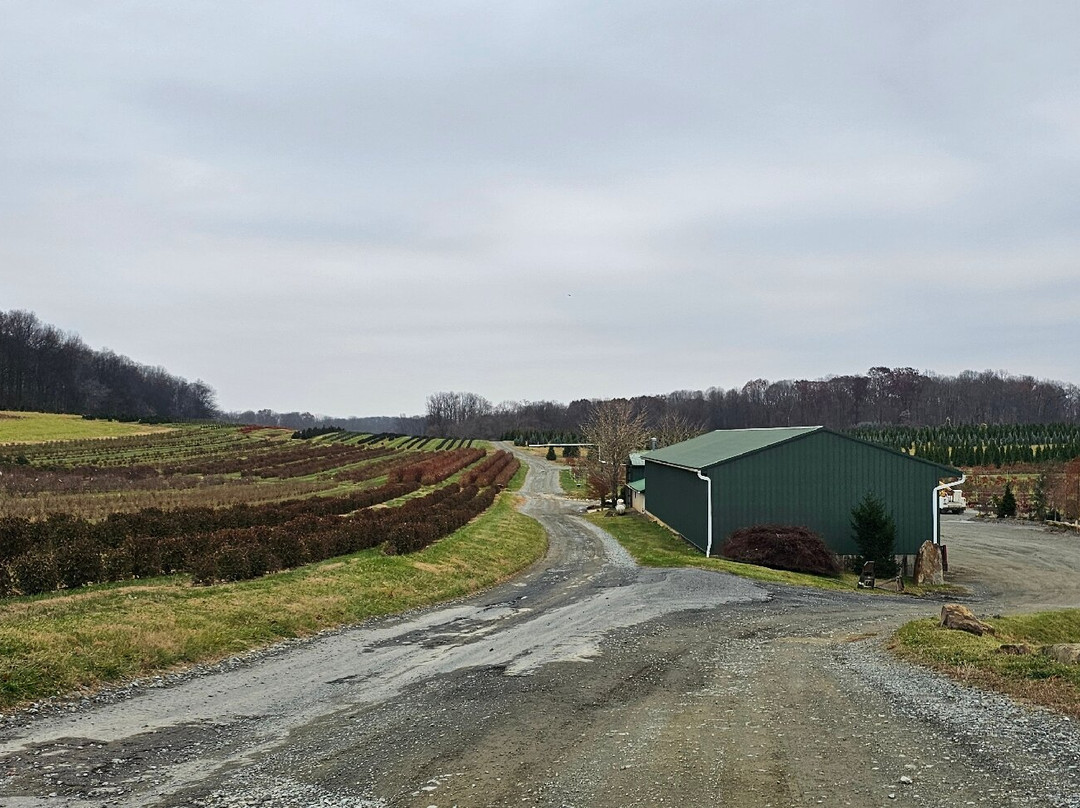Foxborough Nursery-Street必去景点