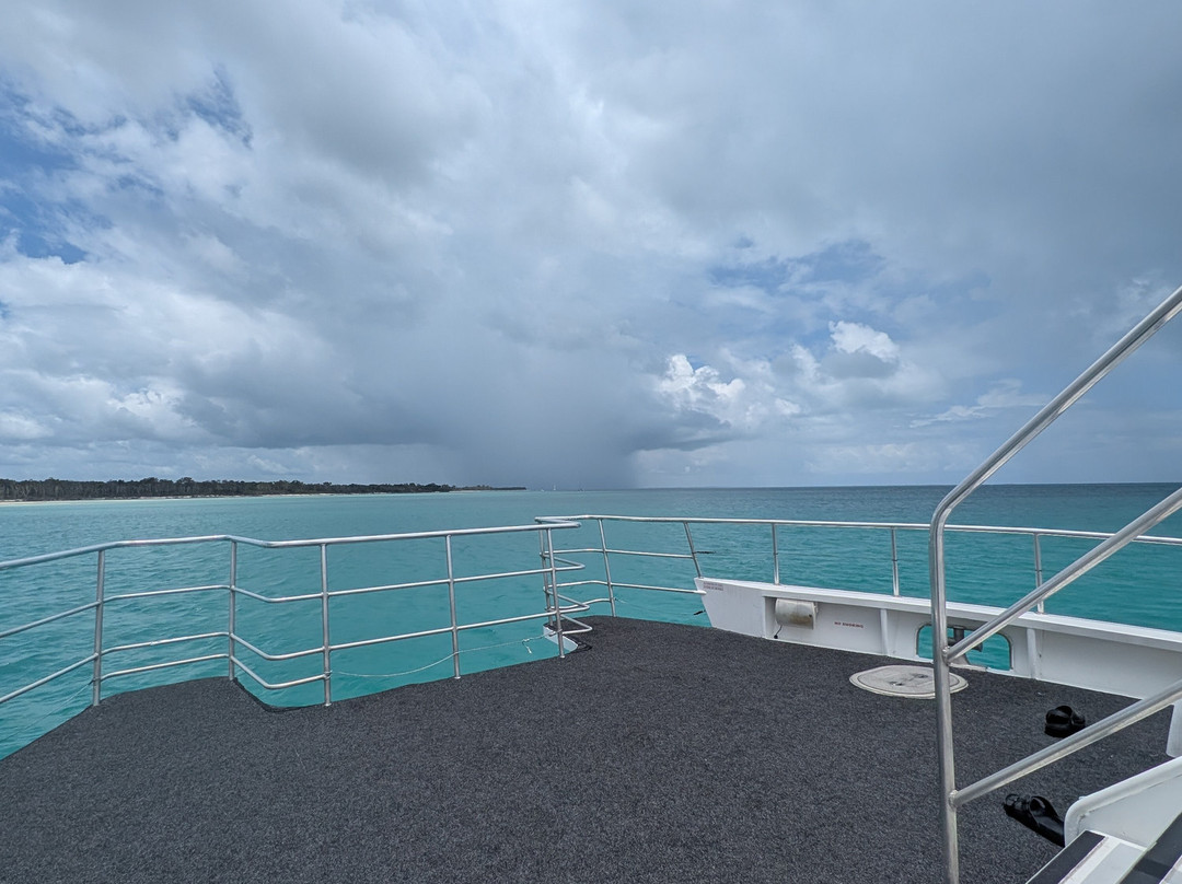 Hervey Bay Whale Watch-尤兰根必去景点