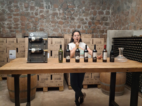 Parada Norte Turismo-萨尔塔必去景点