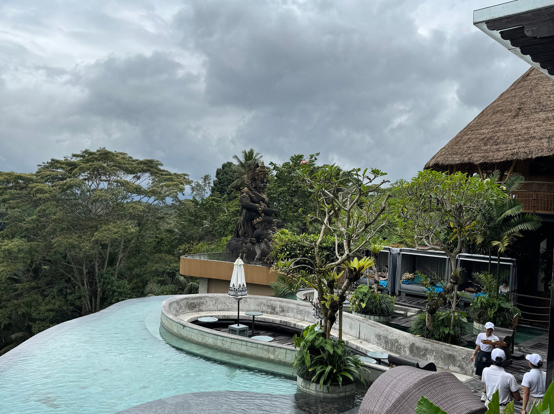 Wanna Jungle Pool and Bar-佩艳艮必去景点