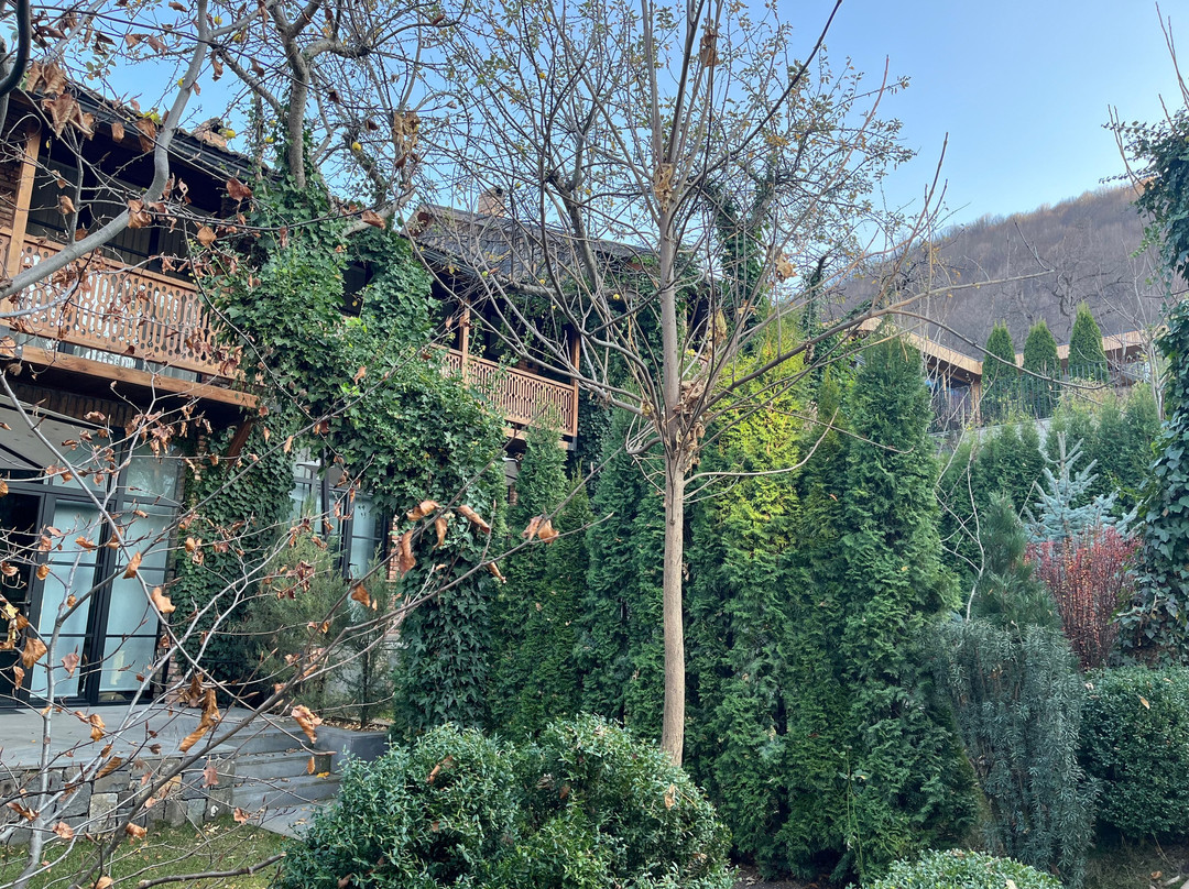 Dilijani Tun Hotel主图