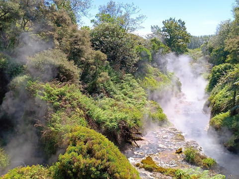 怀凯蒂山谷温泉-罗托鲁瓦必去景点