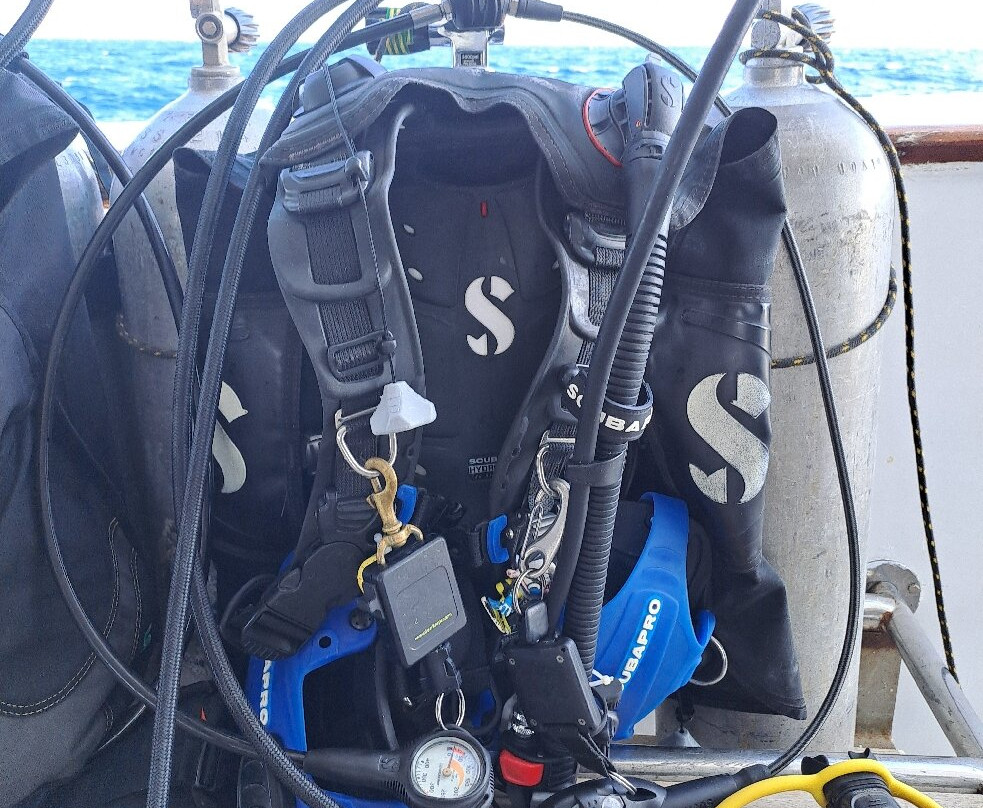 Ducks Diving Safaga-Safaga必去景点